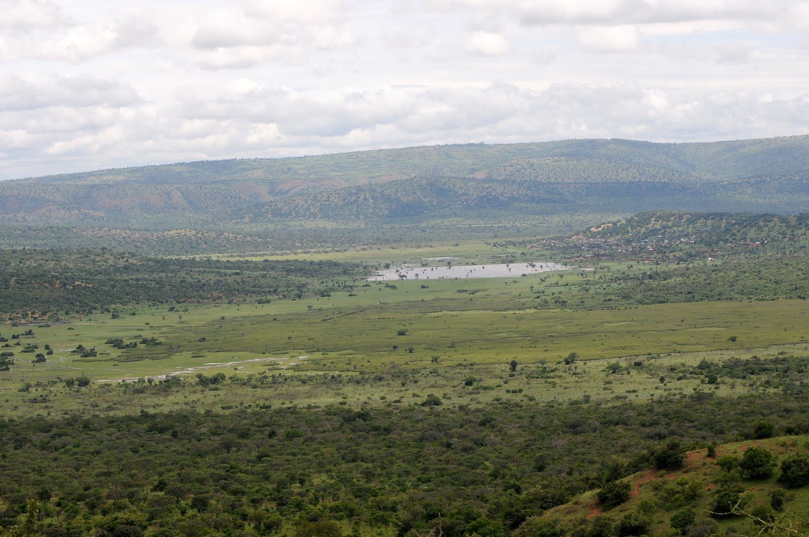 Lake and wooded landscape in Akagera National Park, Rwanda