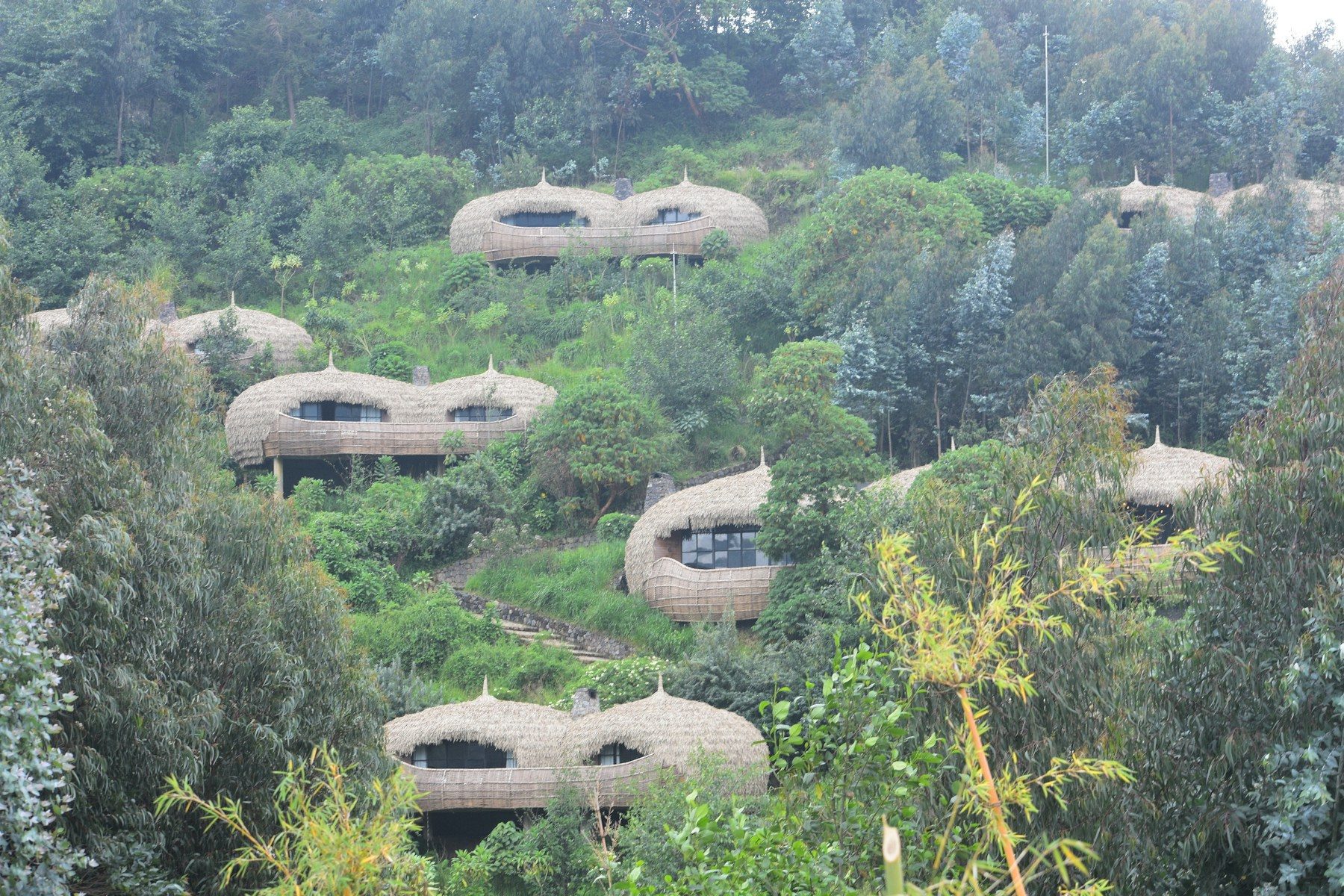 Forest villas at Wilderness Bisate Lodge, Rwanda