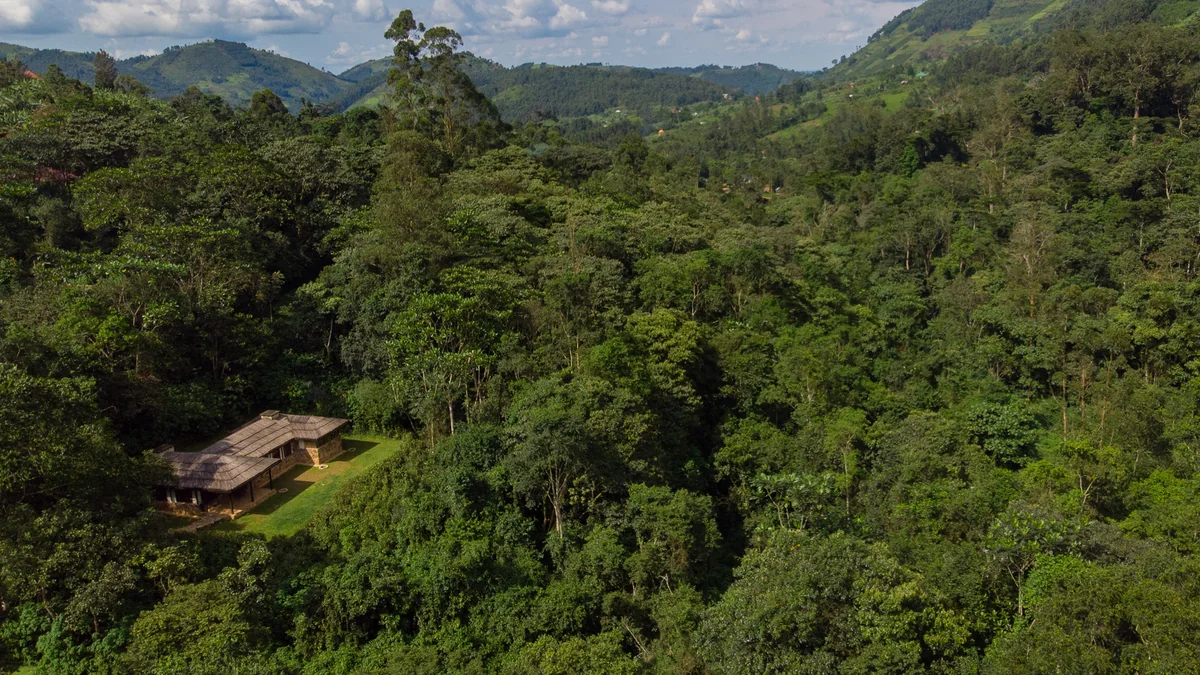 Aerial view of a deluxe banda surrounded by forest at Bwindi Lodge