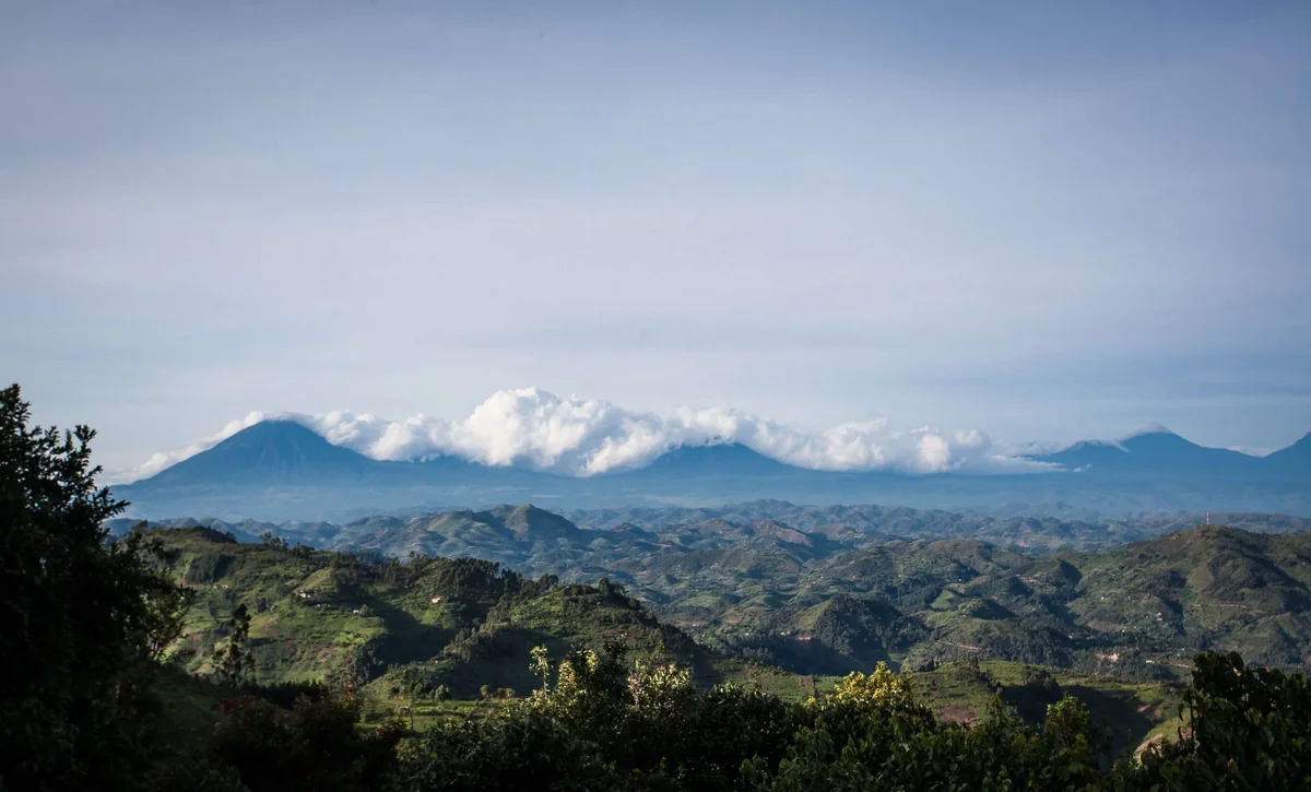 Highland and volcano view featured by Clouds Mountain Gorilla Lodge