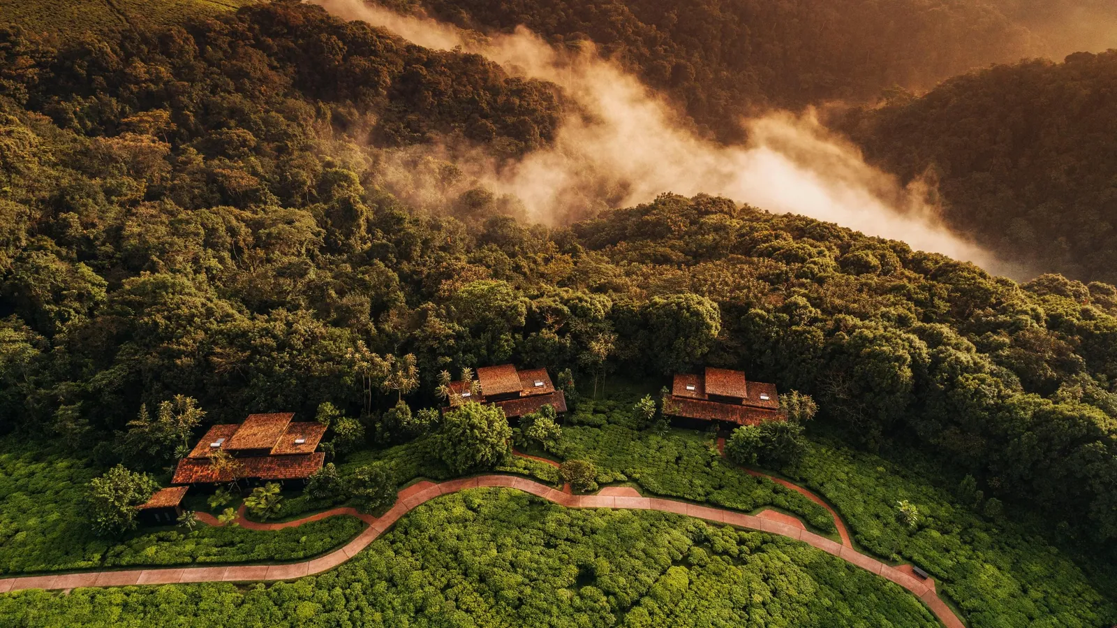 Nyungwe Tea Forest Resort beside its tea estate
