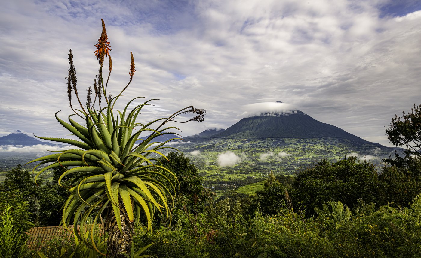 Misty volcanic landscape in Rwanda